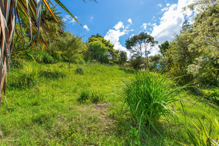 Photo of property in 78m Greenslade Road, Raglan, 3295