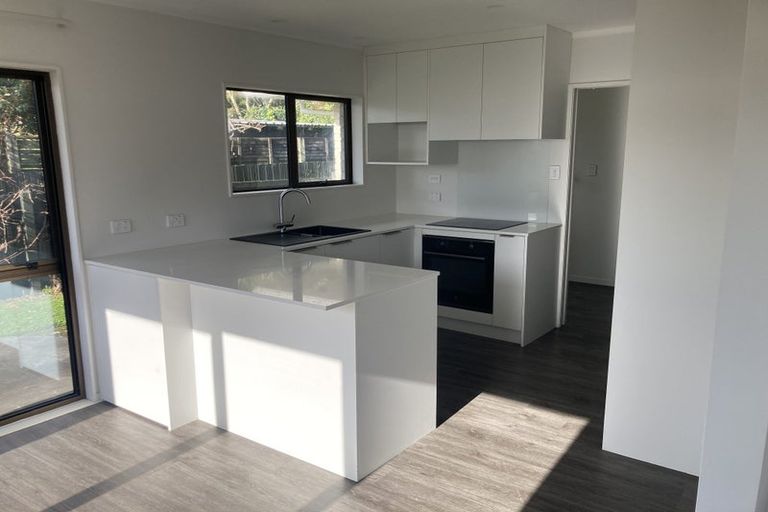Photo of property in 8b George Street, Lower Vogeltown, New Plymouth, 4310