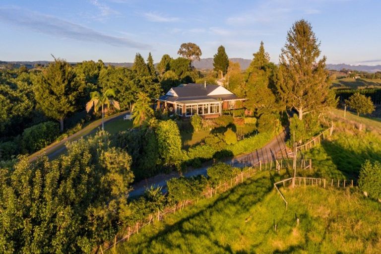 Photo of property in 42 Youngson Road, Whakamarama, Tauranga, 3180