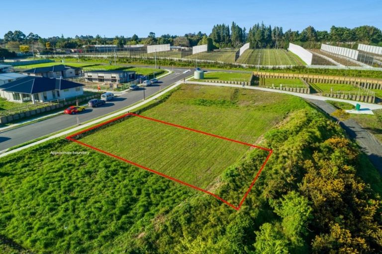 Photo of property in 71 Tynan Street, Te Puke, 3119