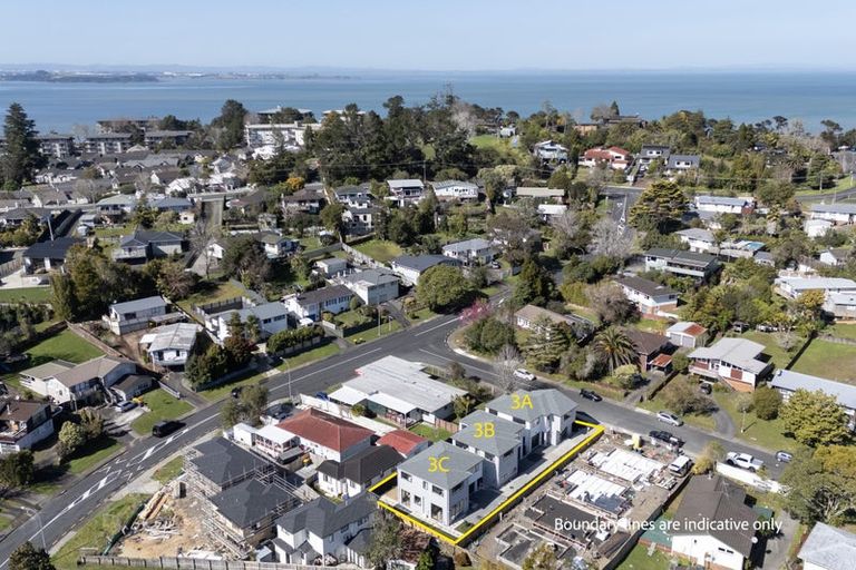 Photo of property in 3a Pendlebury Street, Green Bay, Auckland, 0604