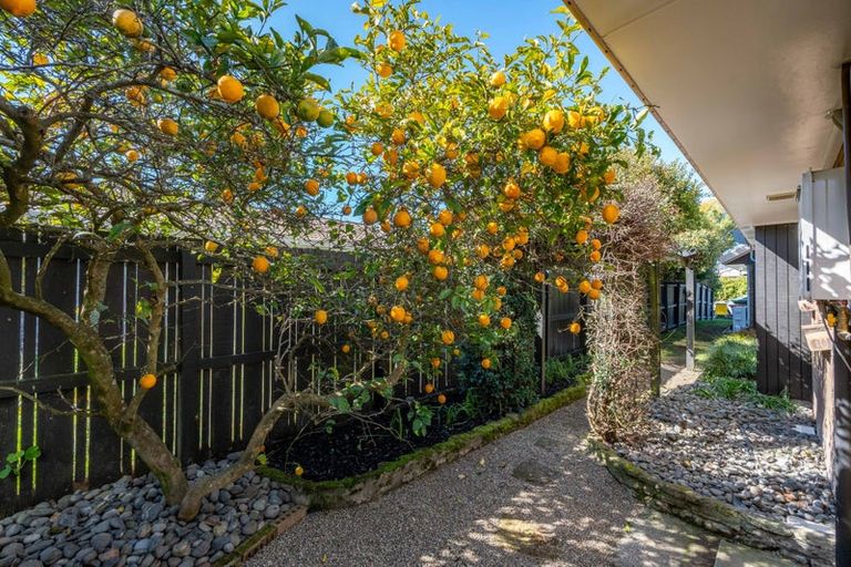 Photo of property in 1 Jean Place, Pukete, Hamilton, 3200