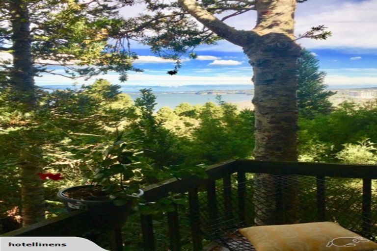 Photo of property in 24 Hillcrest Road, Hatfields Beach, Orewa, 0931