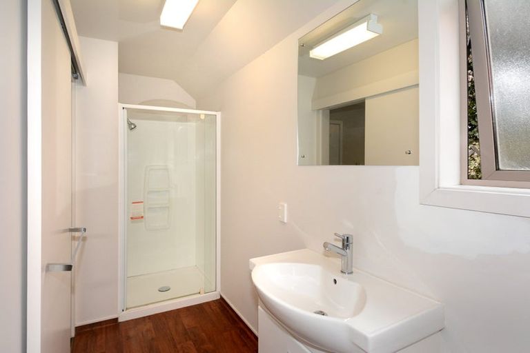 Photo of property in 47 Lees Street, Dunedin Central, Dunedin, 9016