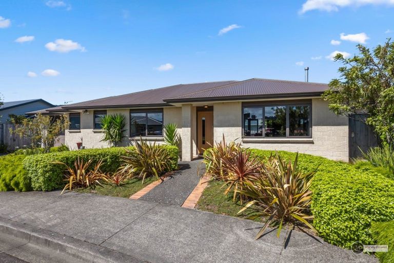 Photo of property in 3 Cataldo Mews, Avalon, Lower Hutt, 5011