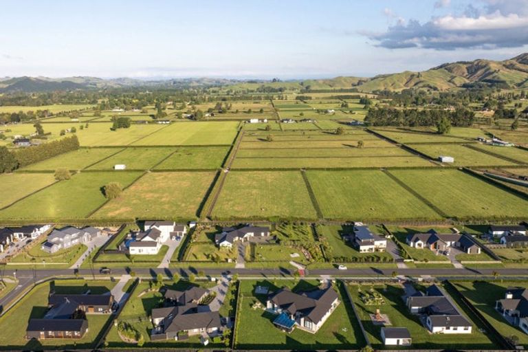 Photo of property in 55 Whare Marama Drive, Leamington, Cambridge, 3432