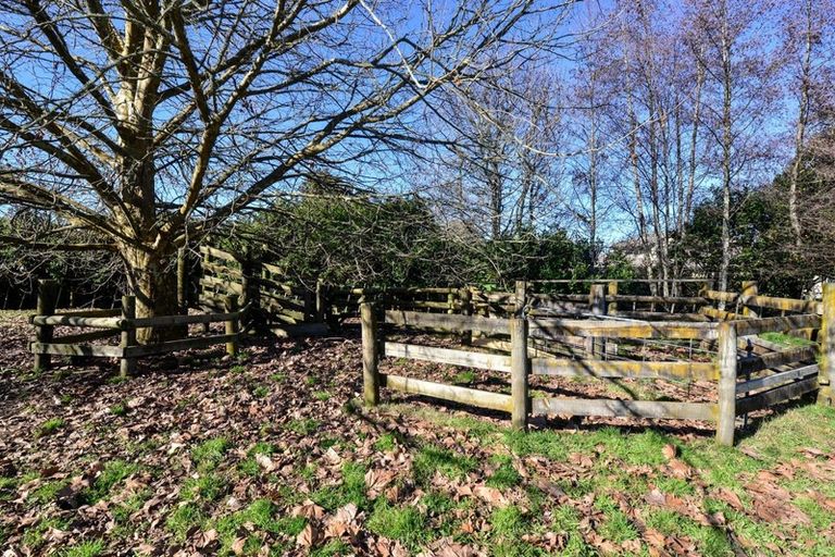 Photo of property in 40 Woodcock Road, Tamahere, Hamilton, 3283