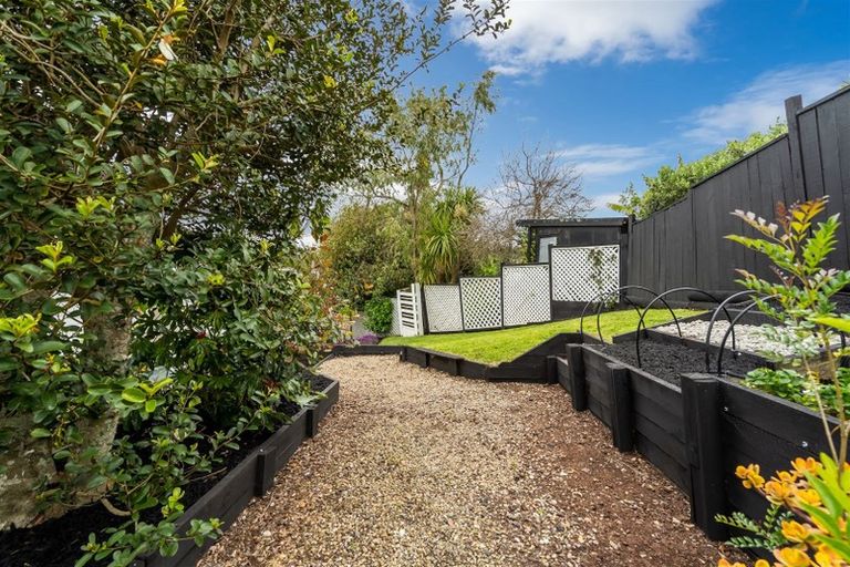 Photo of property in 19 Agincourt Street, Glenfield, Auckland, 0629