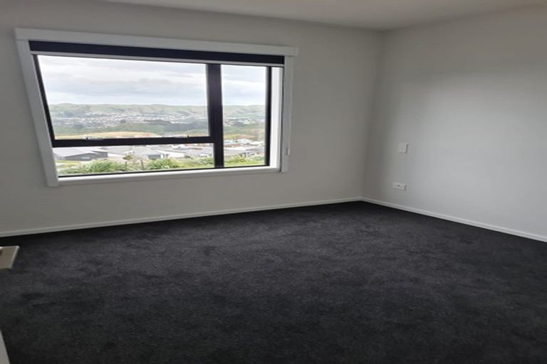 Photo of property in 38 Astelia Way, Woodridge, Wellington, 6037