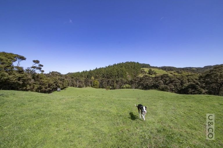 Photo of property in 353 Taylor Road, Helensville, Waimauku, 0882