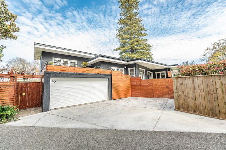Photo of property in 16 Oakland Avenue, Saint Johns Hill, Whanganui, 4500