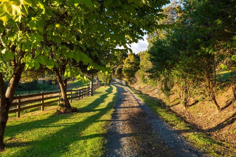 Photo of property in 896 Haruru Road, Wainui, Kaukapakapa, 0873
