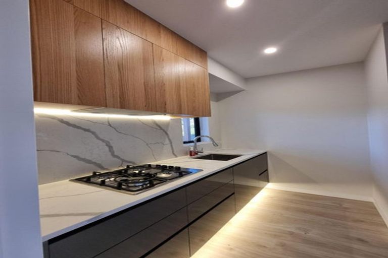Photo of property in 13 Grand Ridge Avenue, Flat Bush, Auckland, 2019