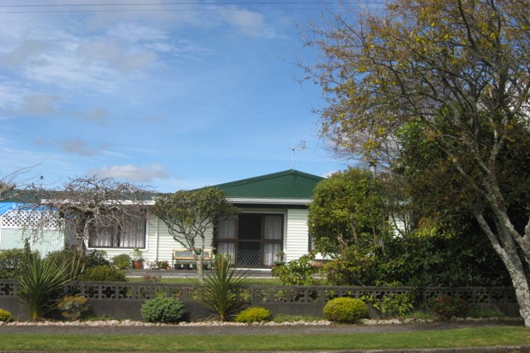 Photo of property in 29 Antonio Street, Stratford, 4332