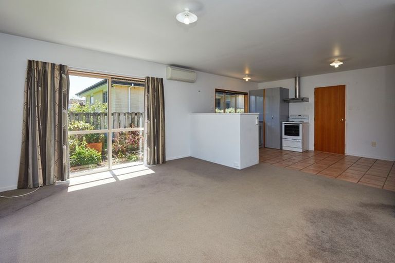 Photo of property in 141a Beach Road, Kaikoura, 7300