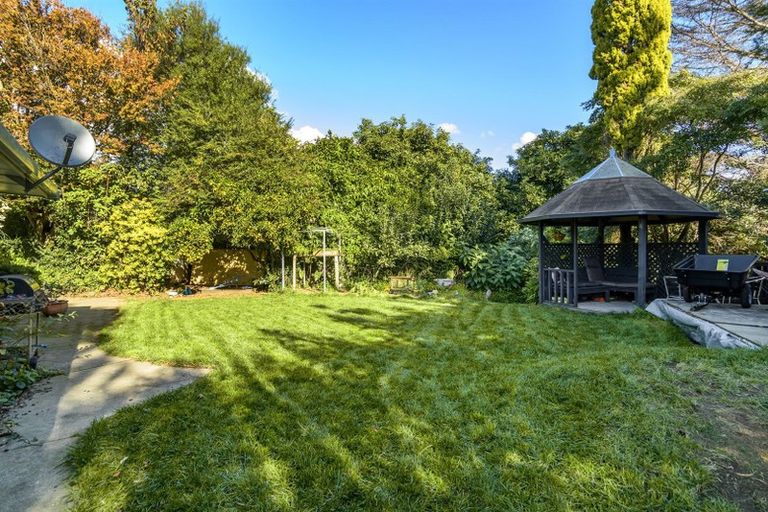 Photo of property in 175 Kingswood Road, Brookfield, Tauranga, 3110