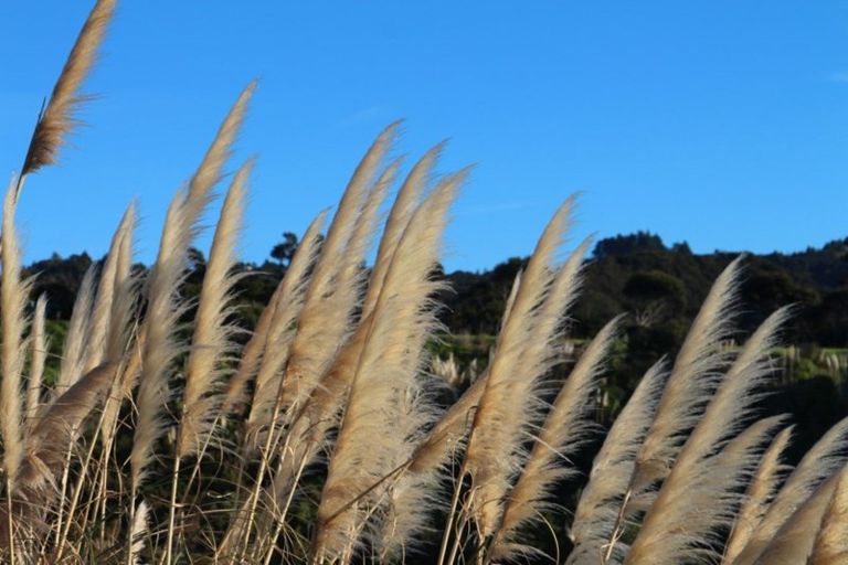 Photo of property in 38 The Crescent, Langs Beach, Waipu, 0582