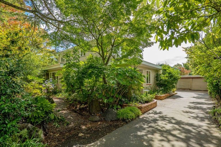 Photo of property in 137 Heaton Street, Merivale, Christchurch, 8052