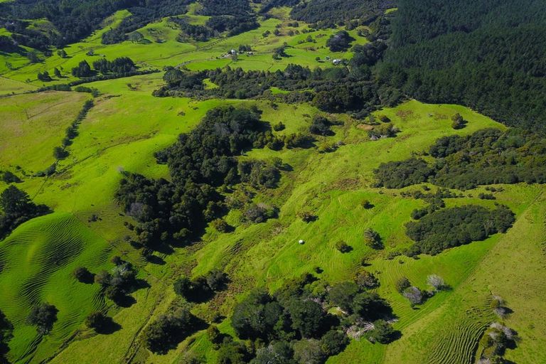 Photo of property in 110 Diggers Valley Road, Herekino, Kaitaia, 0481