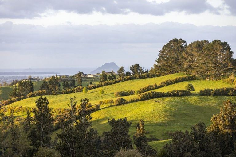 Photo of property in 11c Adrine Lane, Ohauiti, Tauranga, 3173