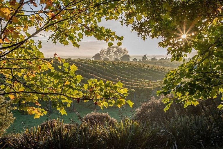 Photo of property in 21 Vogwill Road, Kumeu, 0810