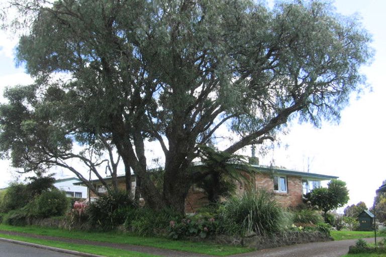 Photo of property in 23 Harrier Street, Parkvale, Tauranga, 3112