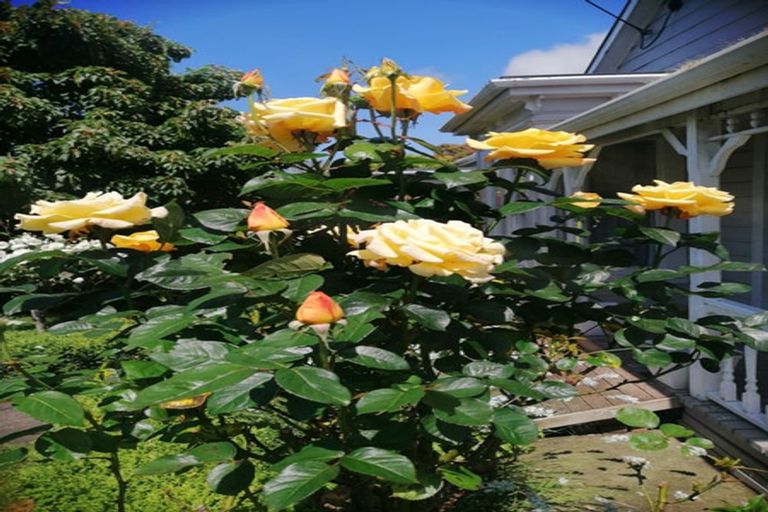 Photo of property in 165 Cambridge Street, Levin, 5510