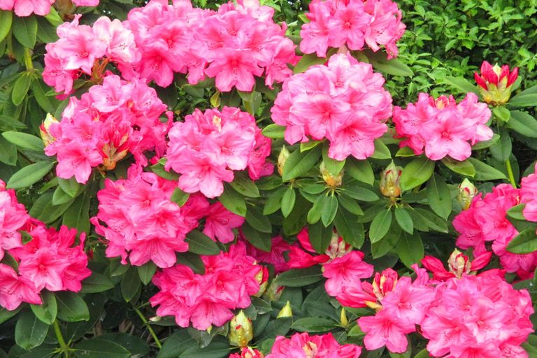 Photo of property in 306 Downs Road, Geraldine Downs, Geraldine, 7991