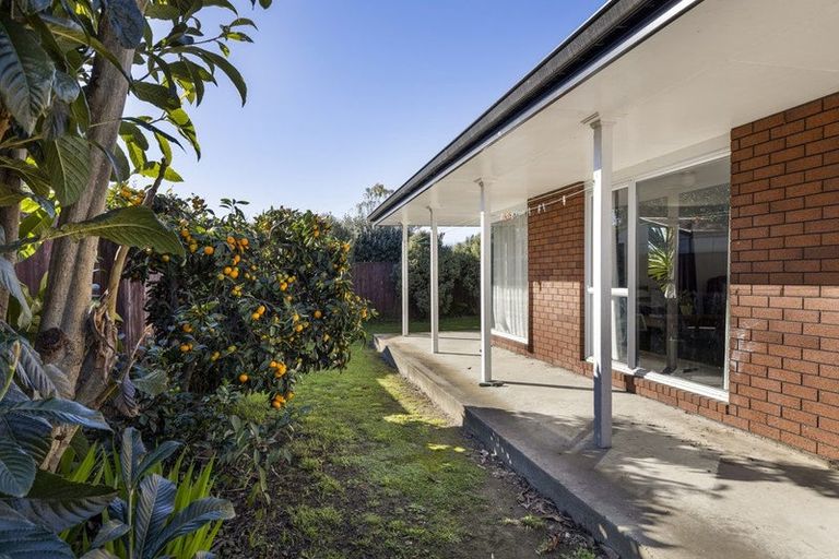 Photo of property in 28d Meehan Street, Islington, Blenheim, 7201