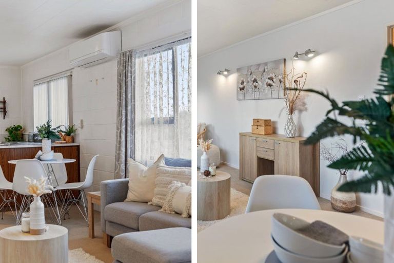 Photo of property in 48 Concord Avenue, Mount Maunganui, 3116