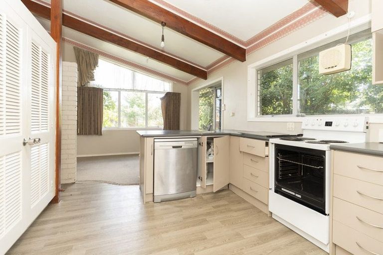 Photo of property in 25 Chequers Avenue, Chartwell, Hamilton, 3210