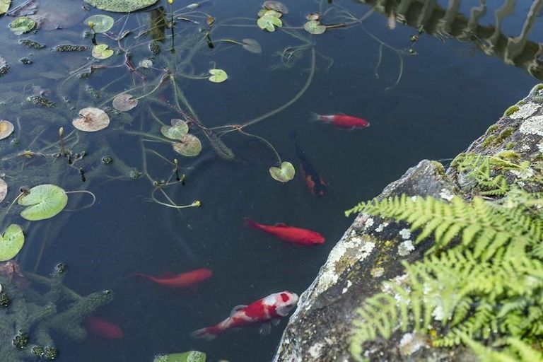 Photo of property in 23 Severn Street, Mosgiel, 9024