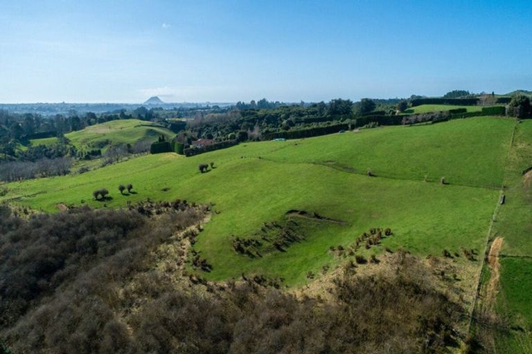 Photo of property in 196c Pukemapu Road, Oropi, 3173