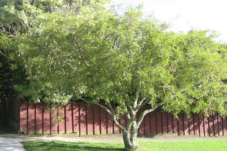 Photo of property in 78 Kamahi Street, Stokes Valley, Lower Hutt, 5019