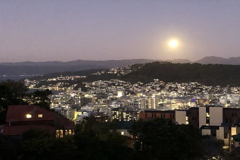 Photo of property in 112 Kelburn Parade, Kelburn, Wellington, 6012