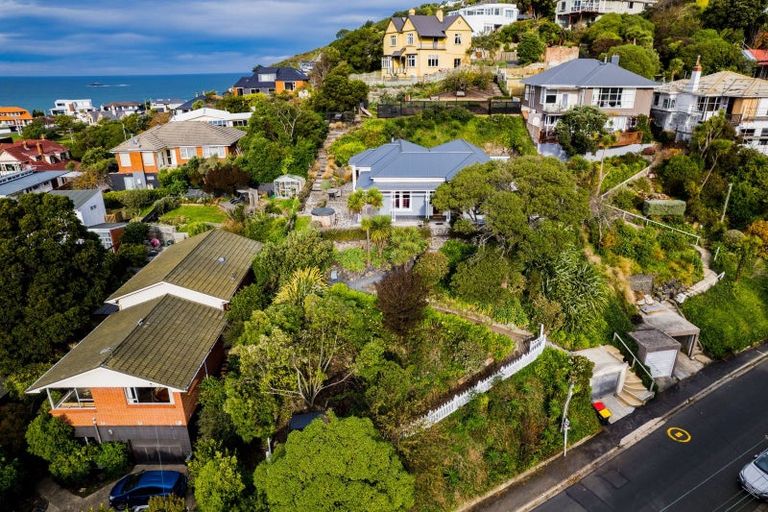 Photo of property in 103 Bedford Street, Saint Clair, Dunedin, 9012