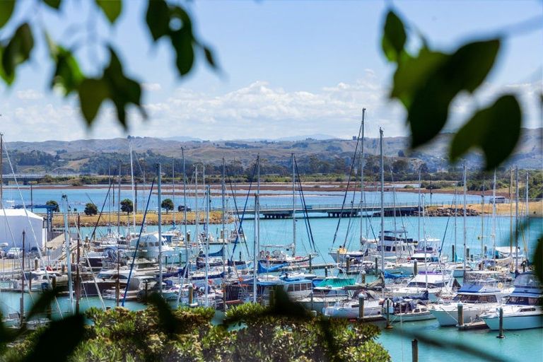 Photo of property in Shed 5, 201/1 Lever Street, Ahuriri, Napier, 4110