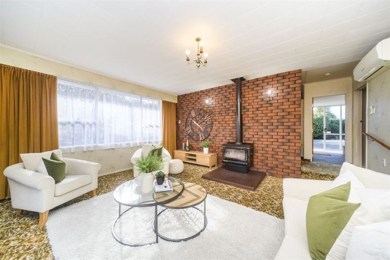 Photo of property in 166 Limbrick Street, Terrace End, Palmerston North, 4410