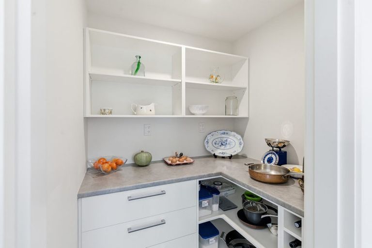 Photo of property in 101 Jimmy Adams Terrace, Lincoln, 7608