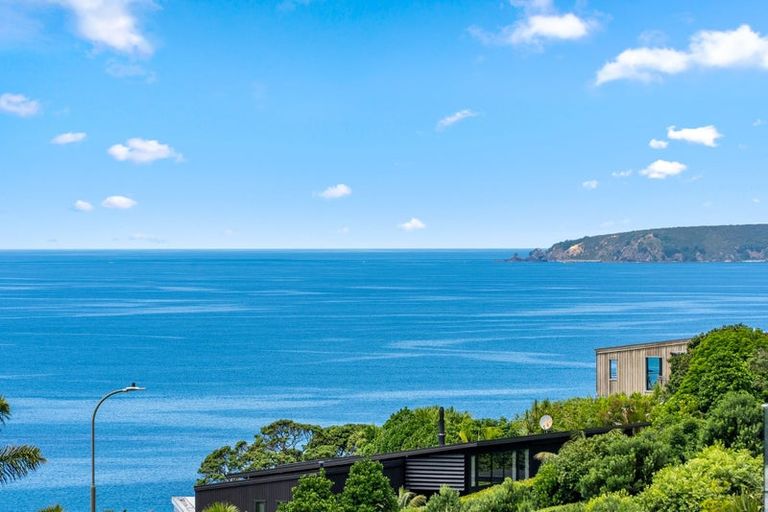 Photo of property in 46 Lax Crescent, Leigh, 0985