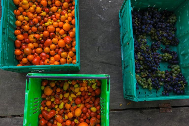 Photo of property in 18 Neavesville Road, Puriri, Thames, 3578