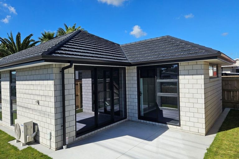 Photo of property in 5a Massey Street, Westown, New Plymouth, 4310
