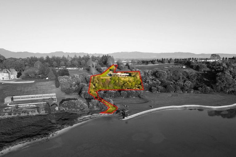 Photo of property in 340d Pahoia Road, Whakamarama, Tauranga, 3172