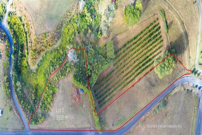 Photo of property in 145a Whakamarama Road, Whakamarama, Tauranga, 3179