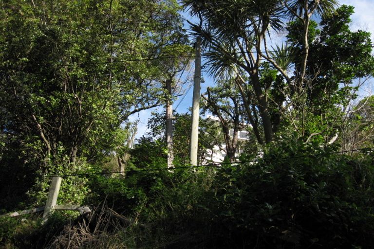 Photo of property in 48 Belvedere Road, Hataitai, Wellington, 6021