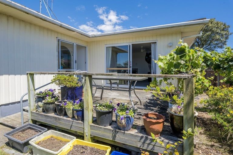 Photo of property in 58 Strathmore Avenue, Levin, 5510