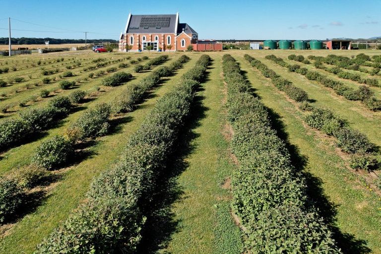 Photo of property in 1686 Waimate Highway, Makikihi, Waimate, 7978