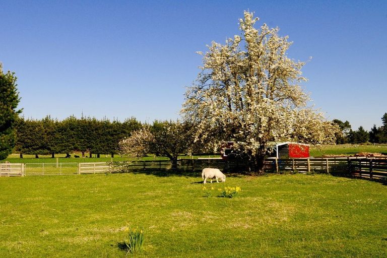 Photo of property in 64 Waihao Back Road, Waimate, 7979