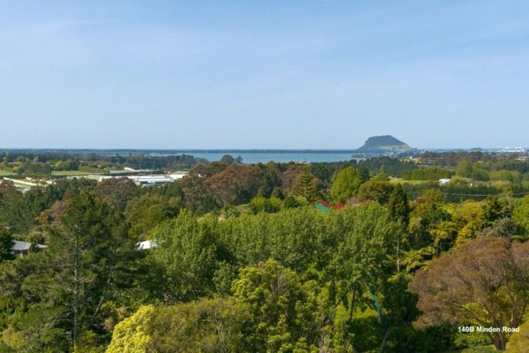 Photo of property in 140a Minden Road, Minden, Tauranga, 3176