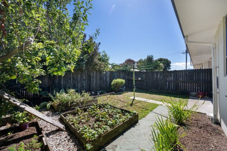 Photo of property in Havelock Street, Renwick, 7204